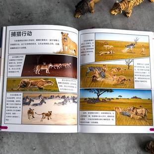 集团股份有限公司辞典与工具书 DK小科学馆·大型猫科动物英国公司中信出版 人天书店畅销书排行榜 书籍 正版