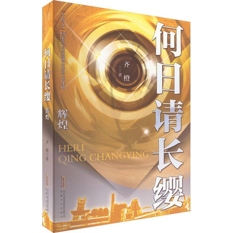 何日请长缨-辉煌 齐橙   小说书籍