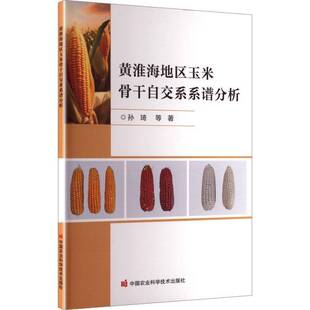 正版书籍 黄淮海地区玉米骨干自交系系谱分孙琦中国农业科学技术出版社图书 玉米遗传育种领域的科研人员高校人天书店畅销书排行榜