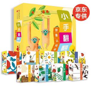 正版书籍 小手翻翻惊喜认知书（全8册）西尔维·贝萨绘中信出版集团股份有限公司儿童读物  人天书店畅销书排行榜