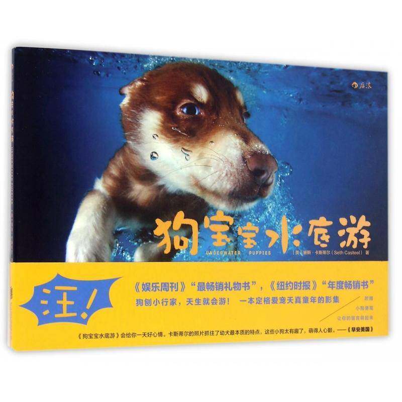正版书籍 狗宝宝水底游赛斯·卡斯蒂尔北京联合出版公司艺术犬艺术摄影摄影集美国现代 人天书店畅销书排行榜
