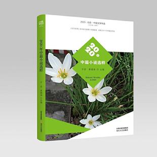正版书籍 2020年中篇小说选粹(2020北岳中国文学年选方岩北岳文艺出版社小说中篇小说小说集中国当代普通大众人天书店畅销书排行榜