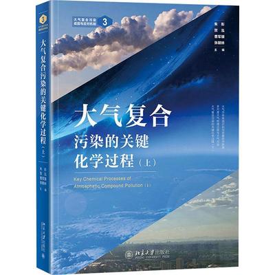 正版书籍 大气复合污染的关键化学过程:上:Ⅰ朱彤北京大学出版社自然科学空气污染环境污染化学普通大众人天书店畅销书排行榜