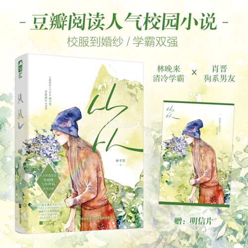 从从青春文学小说都市