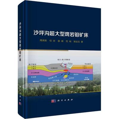正版书籍 沙坪沟超大型斑岩钼矿床(精)周涛发科学出版社自然科学  人天书店畅销书排行榜