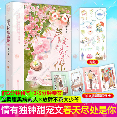 春天尽处是你 桃禾枝 初恋校园甜文 原名 暗里着迷 温柔腹黑病美人 x 放肆不羁大少爷青春小说实体书