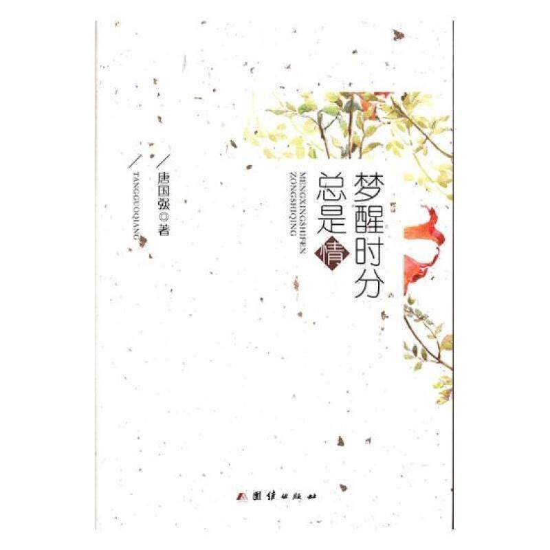 梦醒时是情 唐国强 长篇小说中国当代 小说书籍