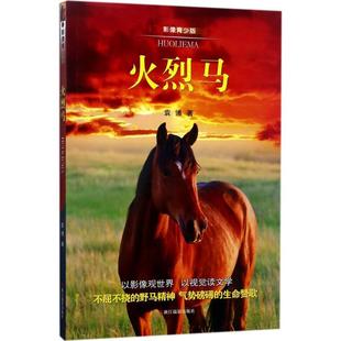 火烈马:影像青少版 袁博 儿童小说中篇小说中国当代 儿童读物书籍