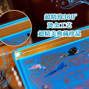 正版书籍 DK灵动盎然的飞鸟本·霍尔中信出版集团股份自然科学  人天书店畅销书排行榜