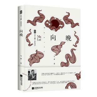 向晚 马累   文学书籍