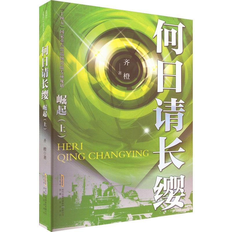 何日请长缨-崛起(上) 齐橙   小说书籍