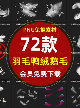 漂浮羽毛白色羽绒鸭绒鹅毛PNG图片 轻盈保暖羽绒朵羽毛免抠PS素材