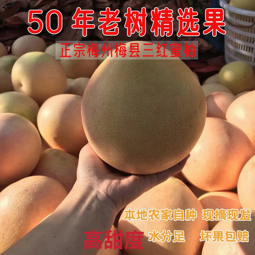 红肉蜜柚三红柚新鲜现摘当季水果