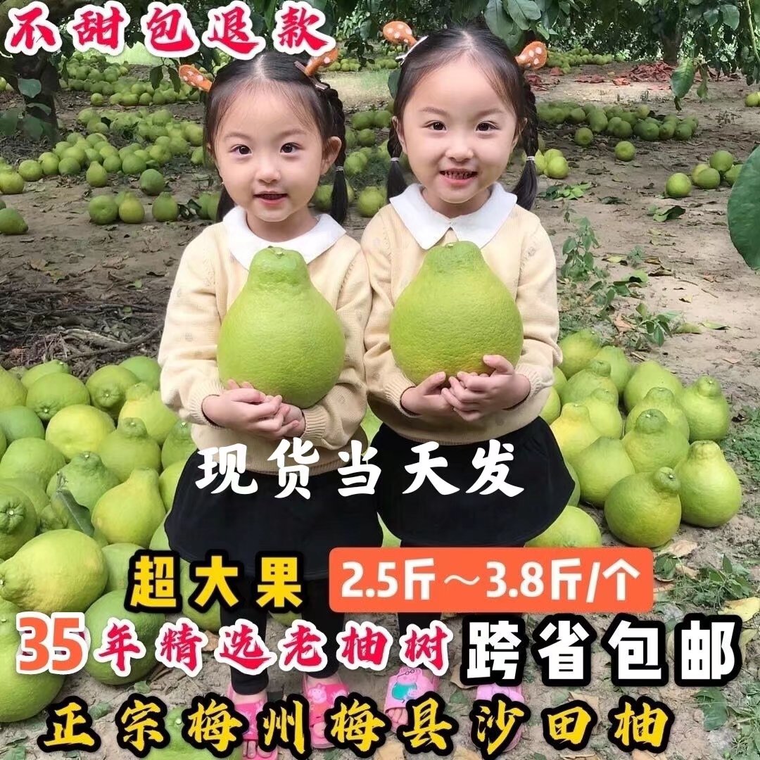 孕妇水果白肉沙田柚子纯甜不酸