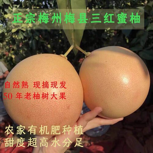 三红蜜柚新鲜水果孕妇红心红肉