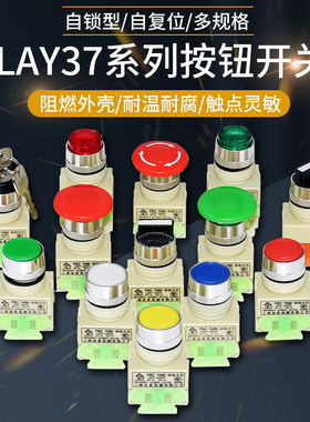 杭州三利电器有限公司LAY37(PBC)按钮开关LAY7Y090开孔22mm
