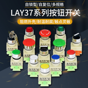 杭州三利电器有限公司LAY37 按钮开关LAY7Y090开孔22mm PBC
