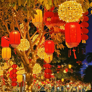 中式红灯笼挂饰中国风 户外防水古镇羊皮灯笼新年冬瓜灯笼藤球灯