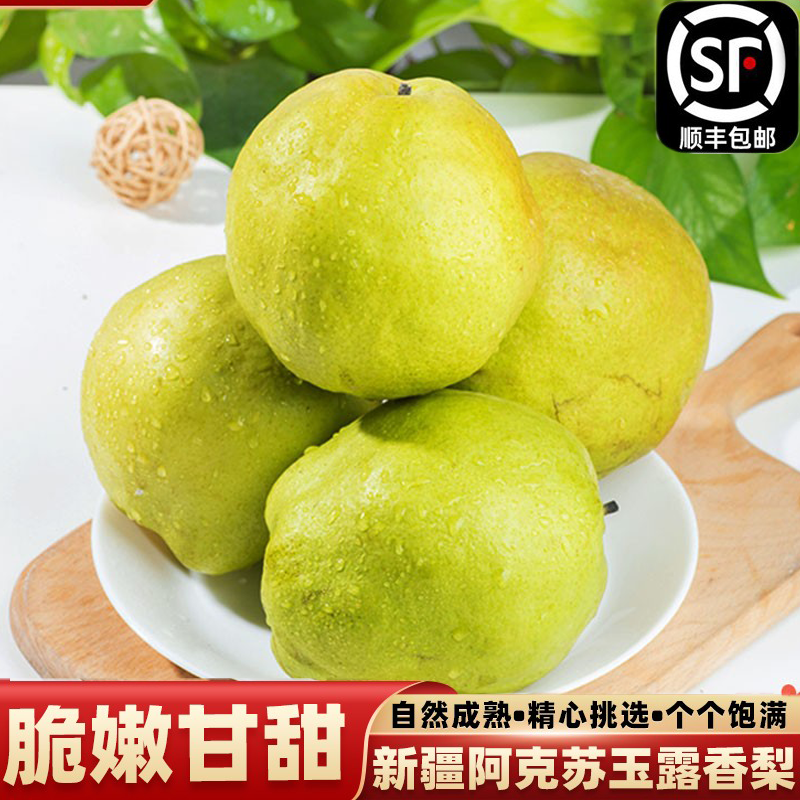 新疆阿克苏玉露香梨新鲜梨子大果