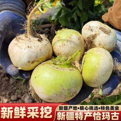新疆恰玛古新鲜蔬菜柯坪县恰玛古
