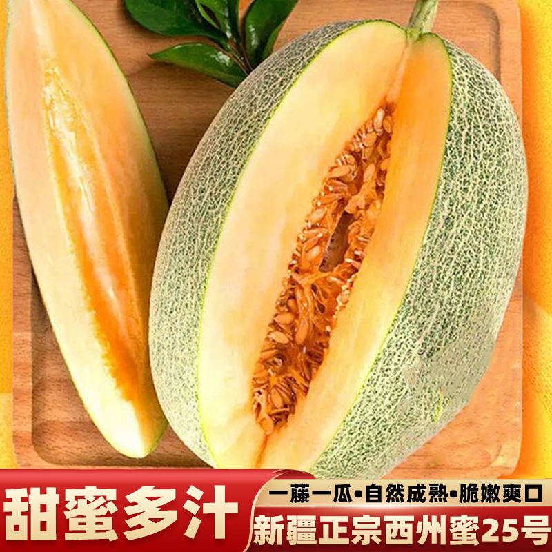 新疆哈密瓜新鲜当季正水果宗吐鲁番网纹蜜瓜西州蜜25脆甜多汁甜瓜