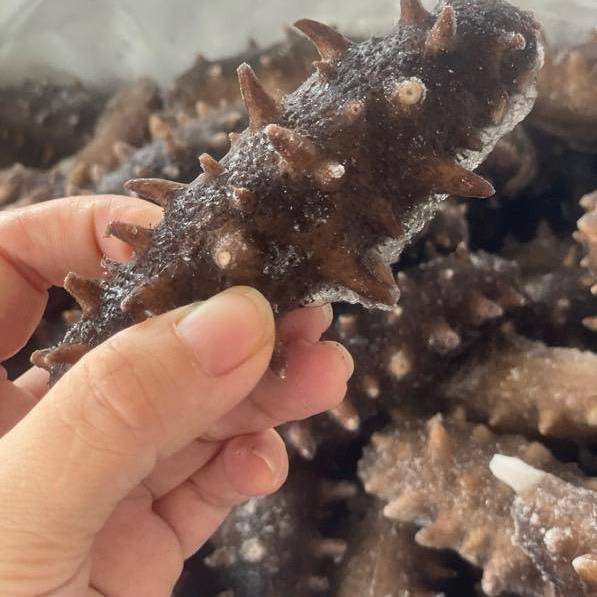 野生淡干干货正品即食国标礼盒纯正海参