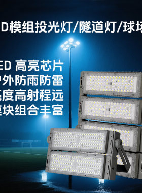 LED模组户外投光灯隧道灯防眩