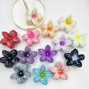 跨境鸡蛋花抓夹仿真钻糖果色花朵发夹新款 点钻紫荆花后脑勺盘