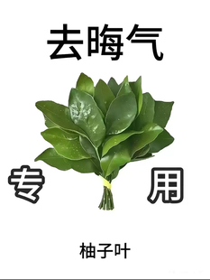 顺丰现摘新鲜柚子叶转运晦气祈福柚叶乔迁新居沐浴青团跨火盆出狱