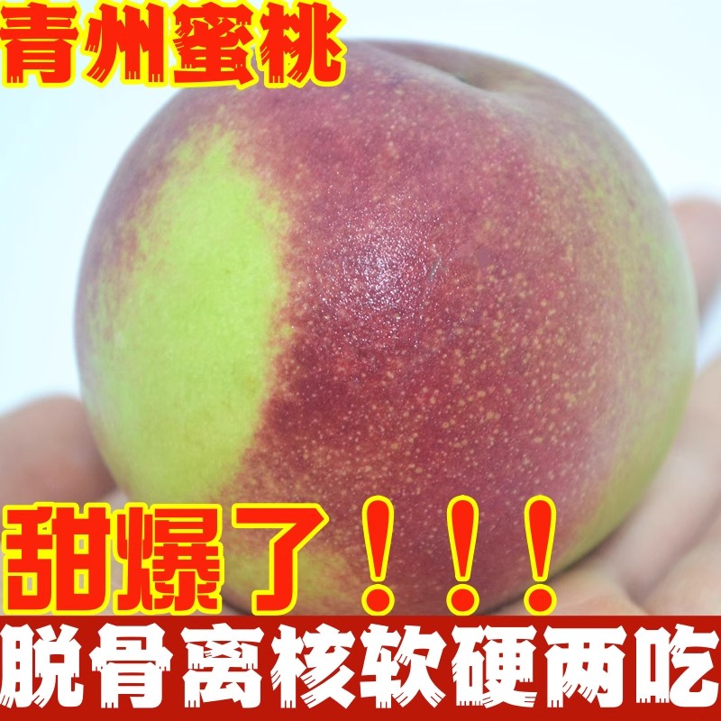 【下单立减50】甜冬青州蜜桃桃子新鲜毛桃现发孕妇水果现摘当季