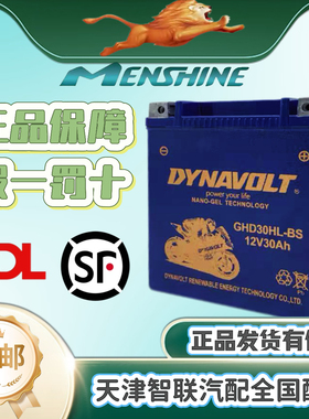 猛狮电池通用春风ST150狒狒SR250NK400GT650CLX750国宾摩托车电瓶