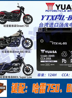 适配哈雷运动者750 883 X48 V72 1250ss 1200摩托车电瓶蓄电池