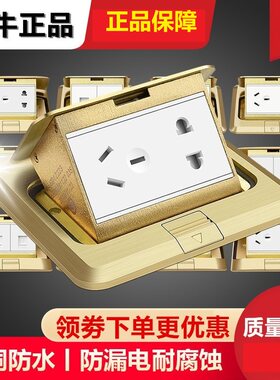 全铜地插座公牛隐藏式防水