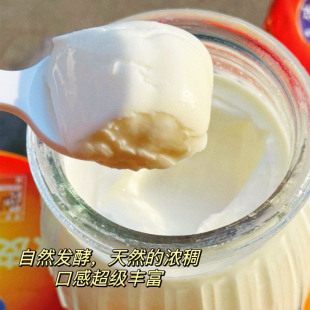 玻璃瓶酸奶生牛乳发酵 瓶老北京老式 圣祥新品 双皮酪酸奶160g