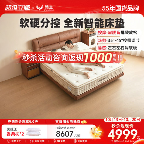 穗宝智能床多功能双人高端软硬分控按摩独袋弹簧床垫 云端Mate