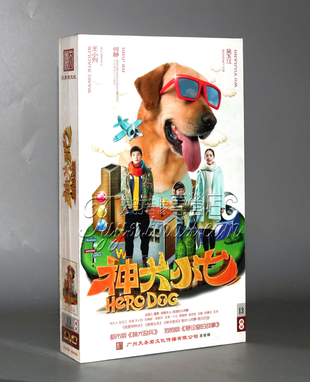 正版电视剧 神犬小七 精装珍藏版13dvd小七 金世佳 郭碧婷