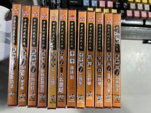 正版俏佳人武术教学碟片 戳脚翻子拳系列 13VCD洪志田