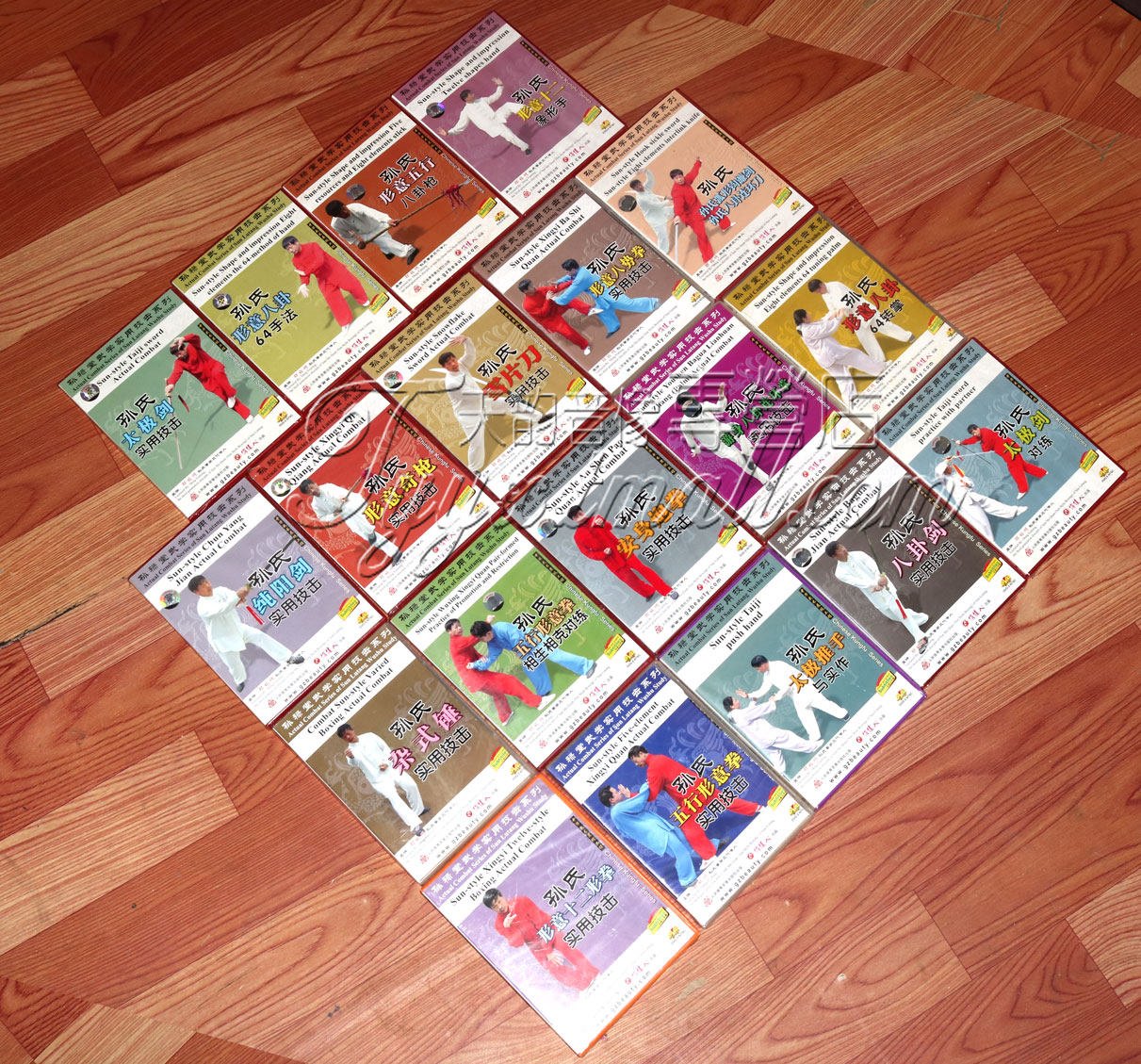 正版武术 孙禄堂武学实用技击1-19 20DVD 主讲邓福明