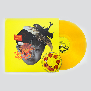 黄色甲壳虫 彩胶LP 正版 贴纸 钱正昊 海报 2020新专辑 现货