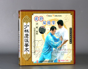 虎扑双撞掌 少林鹰派拳术 1VCD杨维 俏佳人武术教学碟片 正版
