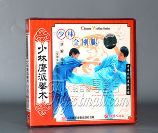 少林金刚腿1VCD杨维 少林鹰派拳术 正版 俏佳人武术教学碟片