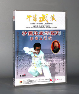 1DVD 形意五行枪 主讲：沙俊杰 沙国政武学形意 正版