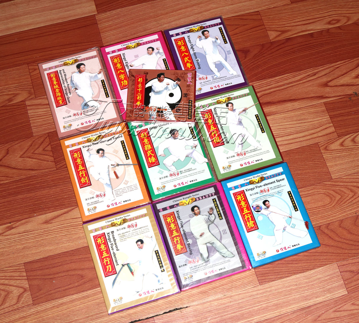 正版 中华武术展现工程 形意拳系列1-10 邸国勇 9dvd 1vcd