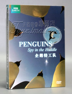 DVD9 企鹅特工队 正品 系列 企鹅群里有特务 BBC经典 DVD5 正版