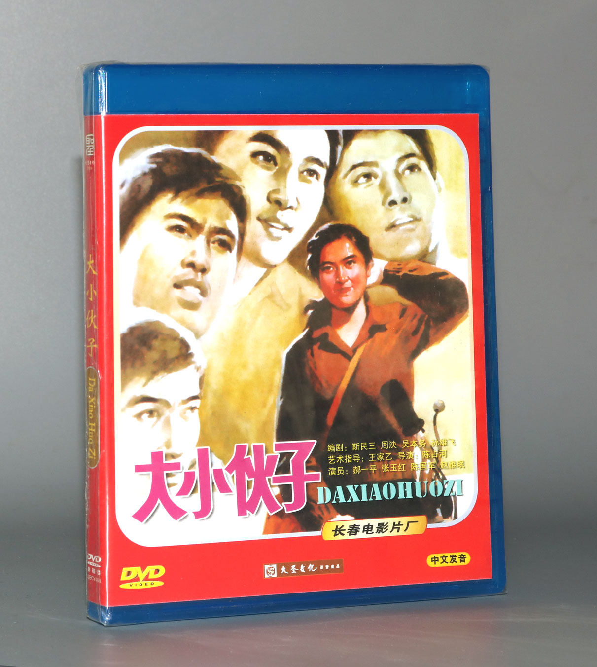正版 红色院线经典珍藏 大小伙子 1dvd  郝一平 张玉红 陈国军