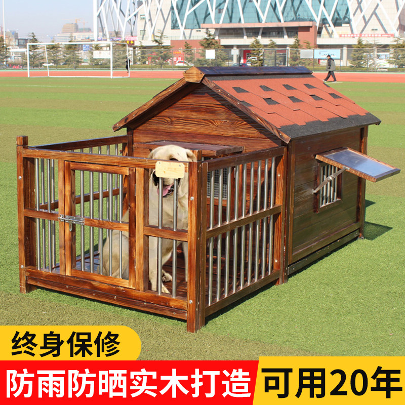 犬舍室内,犬舍,小型犬舍_大山谷图库