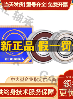 NSK轴承S 6206 ZZ DDU VV 2R S Z hZ NR轴承 P5