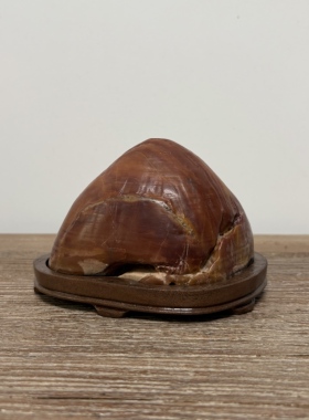 天然灵璧石彩石摆件 茶桌禅石饱满手盘玩 客厅玄关办公桌石头装饰