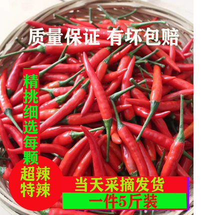 新鲜红辣椒 新鲜小米椒新鲜朝天椒 小米椒新鲜现摘5斤装 包邮