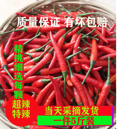 新鲜红辣椒小米椒现摘朝天椒包邮